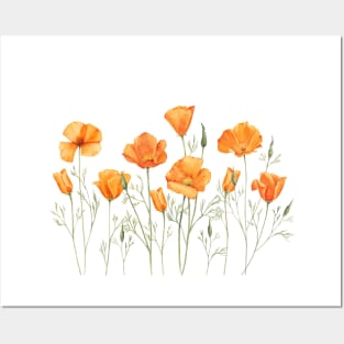 Yellow California poppy flowers. Posters and Art